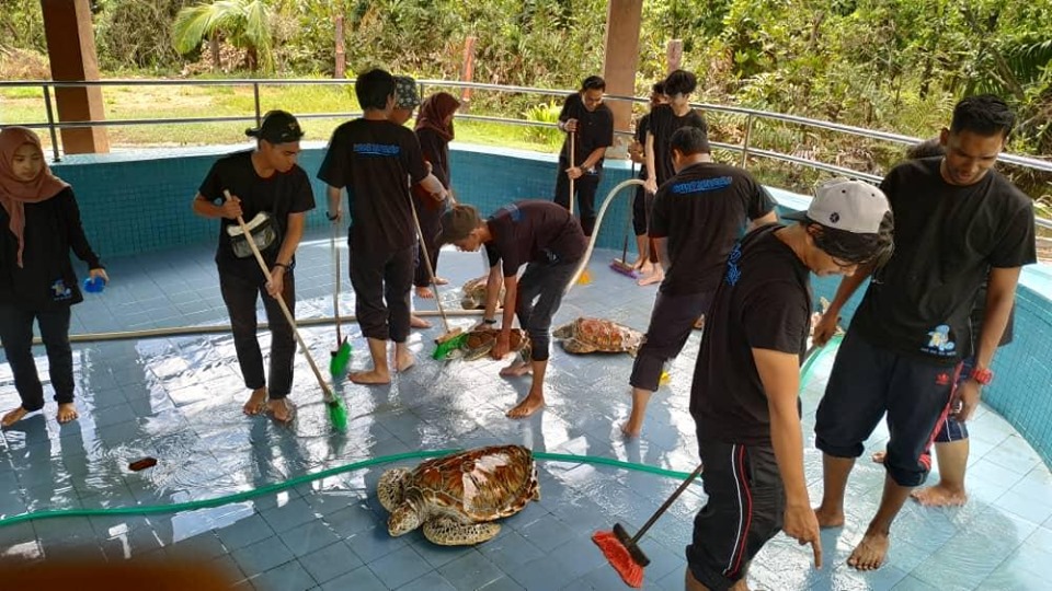 Kaki Jalan Segari Pusat Konservasi Dan Penerangan Penyu Dan Pantai Pasir Panjang
